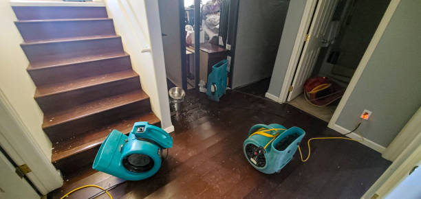 Best Fire Damage Restoration  in Hammond, IN