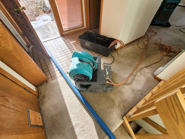 Best Flood restoration services  in Hammond, IN