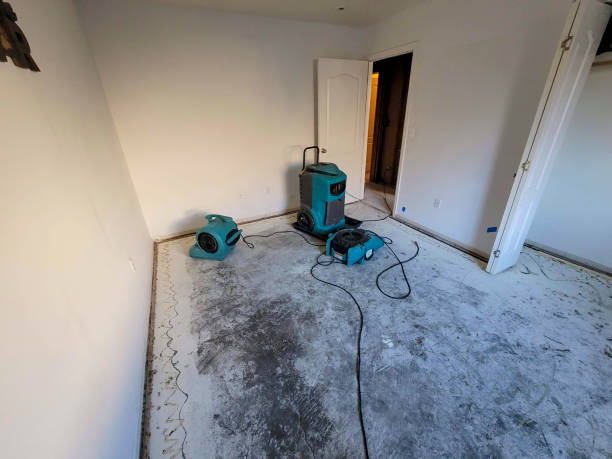  Hammond, IN Water damage restoration Pros