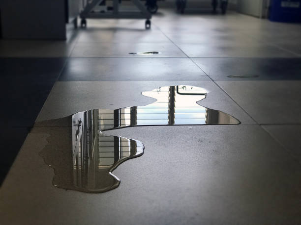 Local water damage restoration in IN