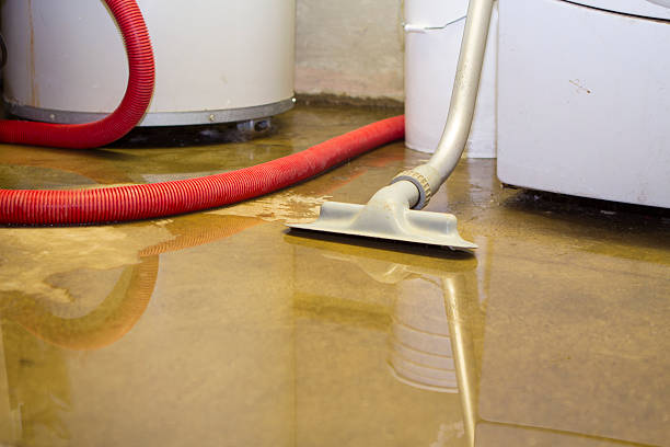 Trusted IN Water damage restoration Experts