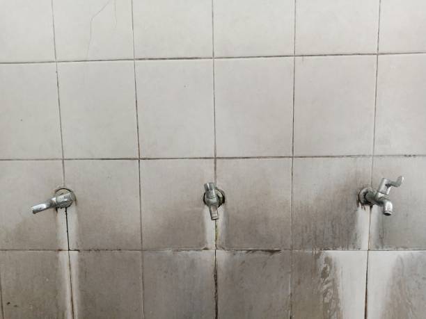 Best Ceiling water damage repair  in Hammond, IN