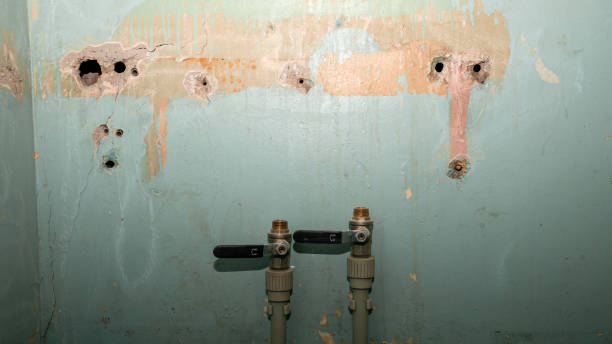 Best Professional water damage repair  in Hammond, IN