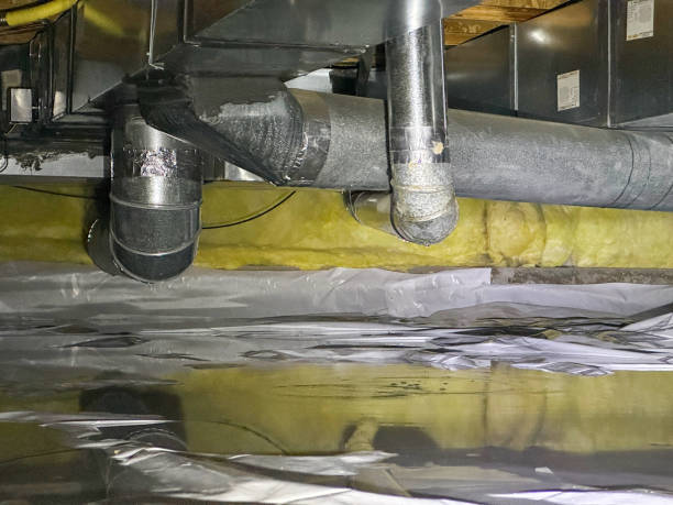 Best Water damage contractors near me  in Hammond, IN