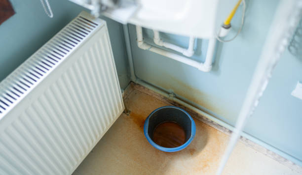 Best Commercial water damage restoration  in Hammond, IN