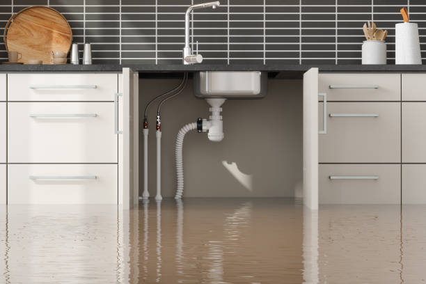 Best Flood damage cleanup  in Hammond, IN