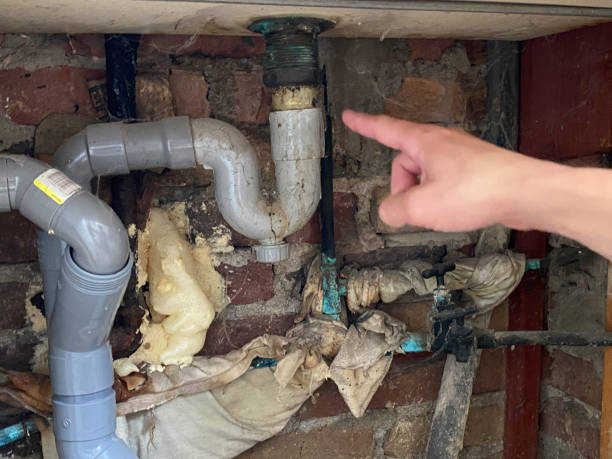 Best 24-hour water damage restoration  in Hammond, IN
